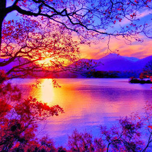 Meet your Posher, Massiel